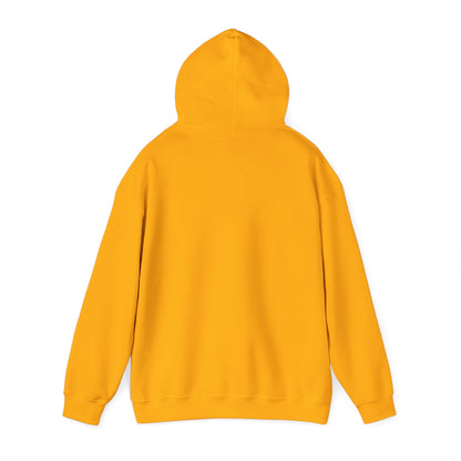 Nice Ace - Unisex Heavy Blend Hoodie